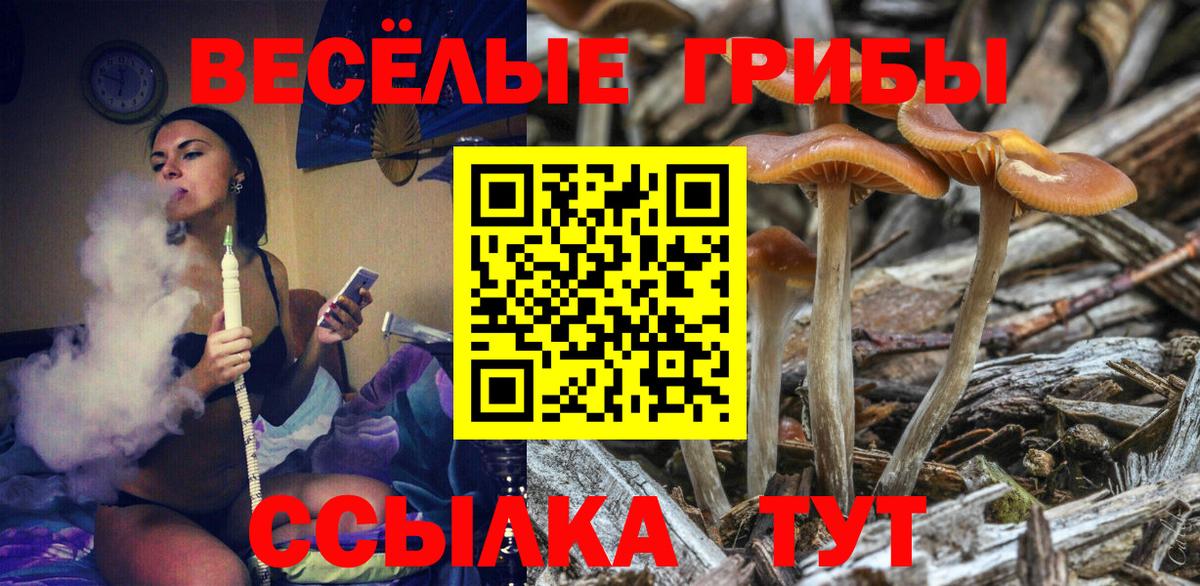 Галлюциногенные грибы ЛСД Железногорск