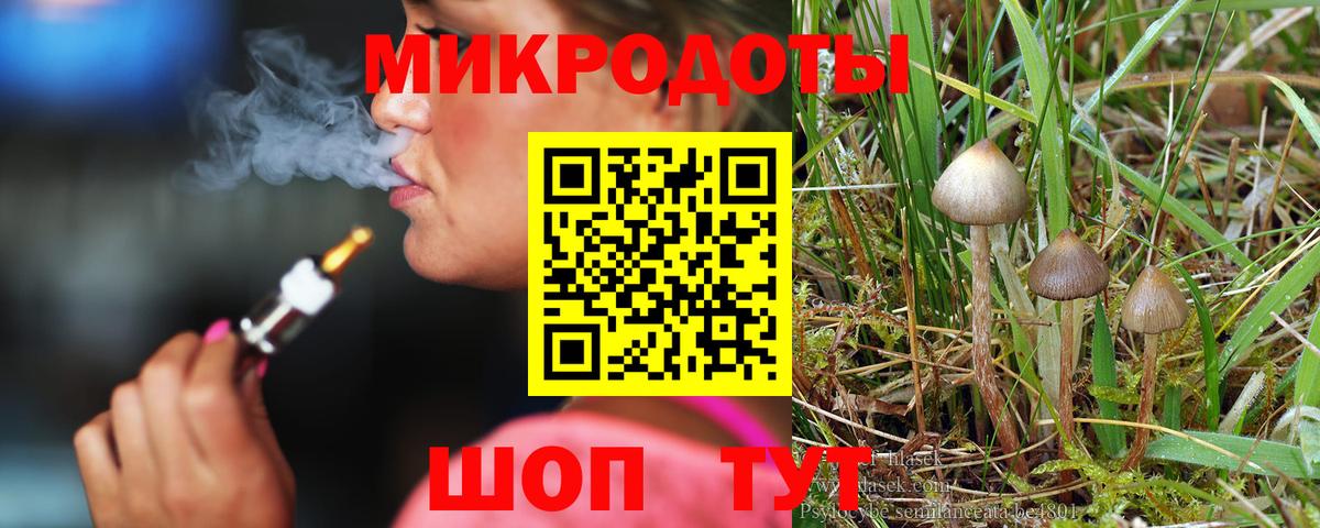 Галлюциногенные грибы ЛСД  Галлюциногенные грибы Psilocybine cubensis  Вход с VPN  Железногорск 